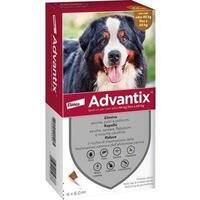 Antiparassitario advantix cani bayer - Kg 40+ cf=pz 6