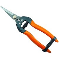 Forbici per vendemmia cogliuva lame dritte, chiusura in cuoio 19 cm