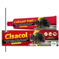 Colla topicida CISACOL tubetto da 135 gr
