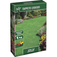 Seme prato jolly - Kg 1