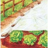 Telo antigelo tnt pesante protezione piante stars - Bianco gr/mq 30 l.mt 10 h.cm 80