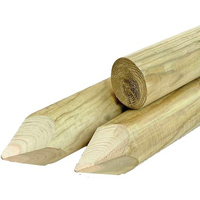 Palo tondo + punta legno euro - Pino impregnato cm 6 h.cm 200