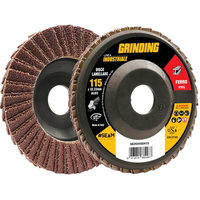 Disco a lamelle radiali corindone industrial - Mm 115x22,2 grana 120