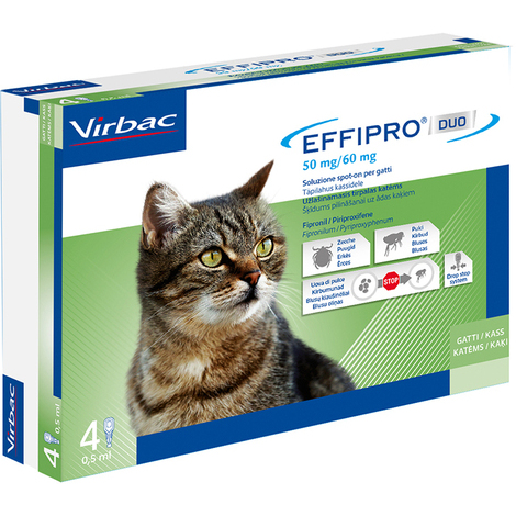 Effipro duo gatto 4 pipette 1-6 kg virbac antiparassitario