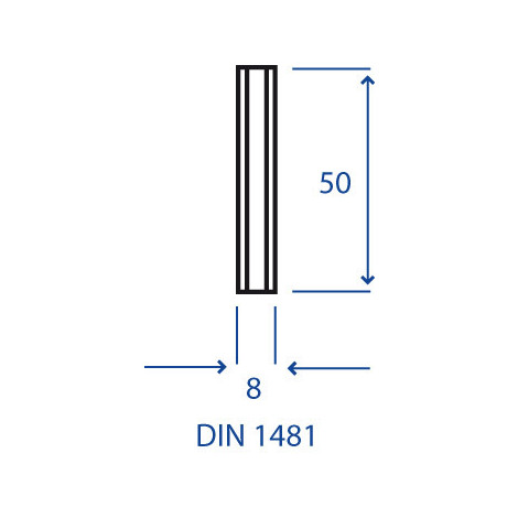 SPINA ELASTICA 10 X  70 PZ.20