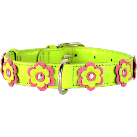 18-21 cm x 9 mm collare fiori per cane cani verde in pelle collarino cani fibbia