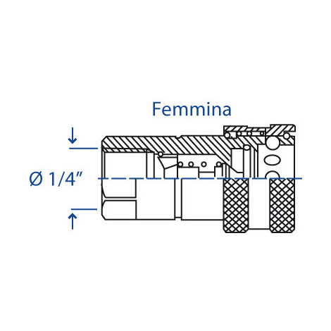 INNESTO RAPIDO VALV. F.1/4