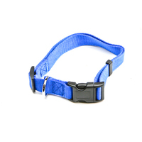 Collare in nylon colorato 25x600