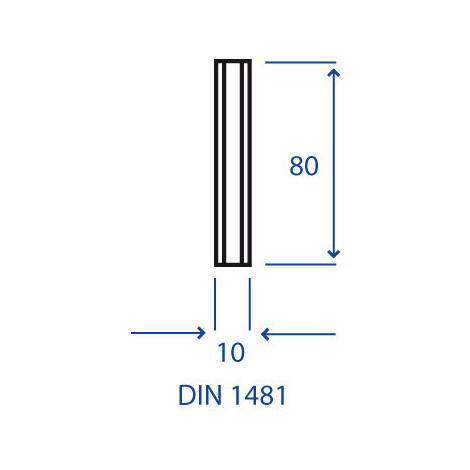 SPINA ELASTICA 10 X  80 PZ.20