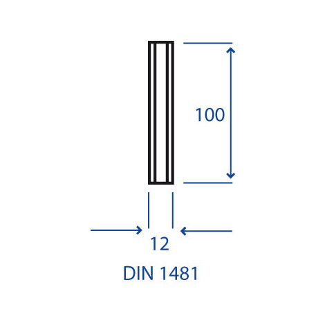 SPINA ELASTICA 12 X 100 PZ.20