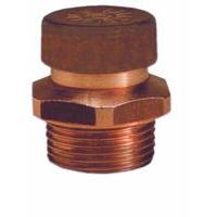 Tappo sfiato con valvola e protezione. Filetto da 1/4